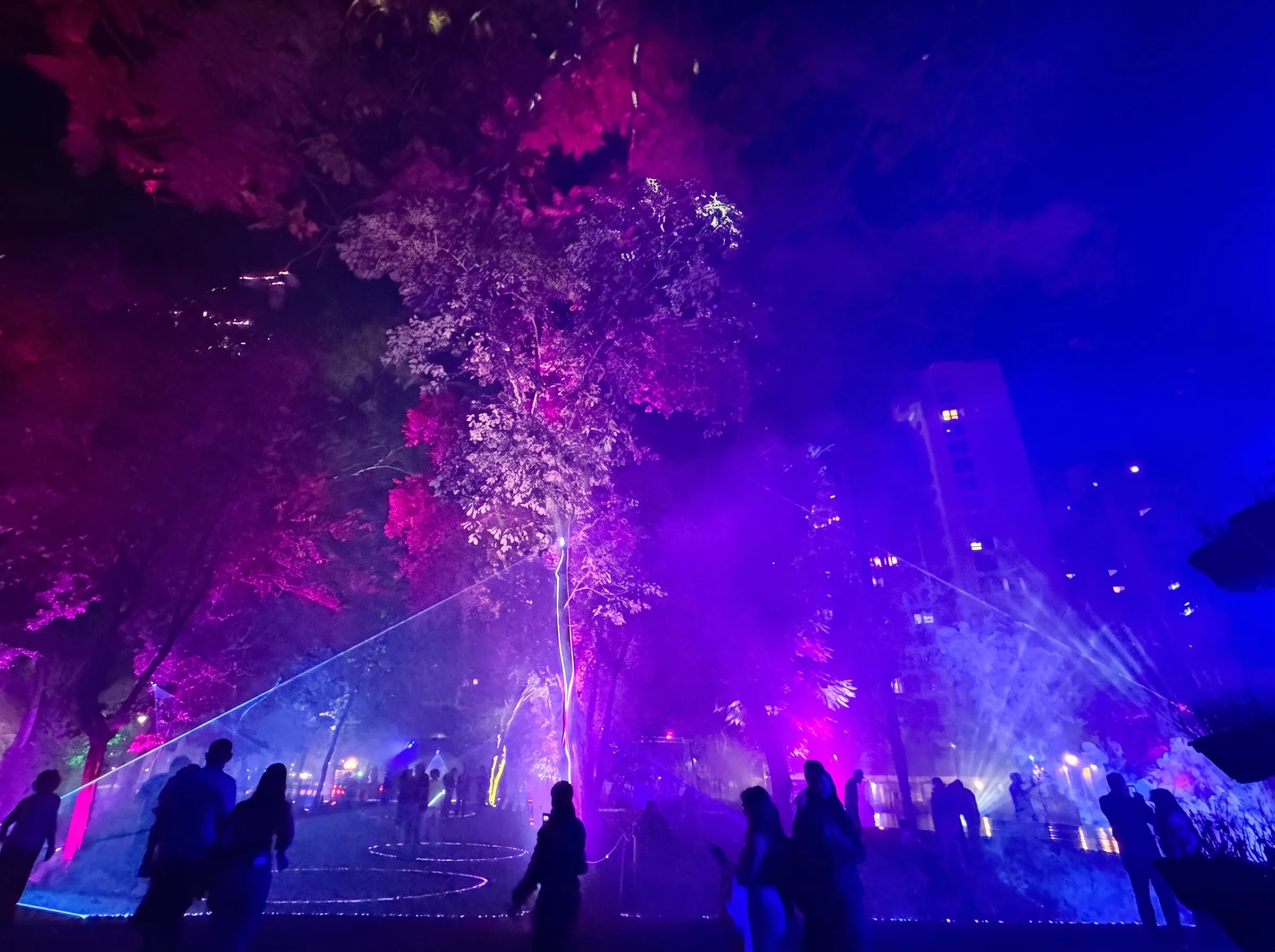 Experiência imersiva Bosque Encantado
